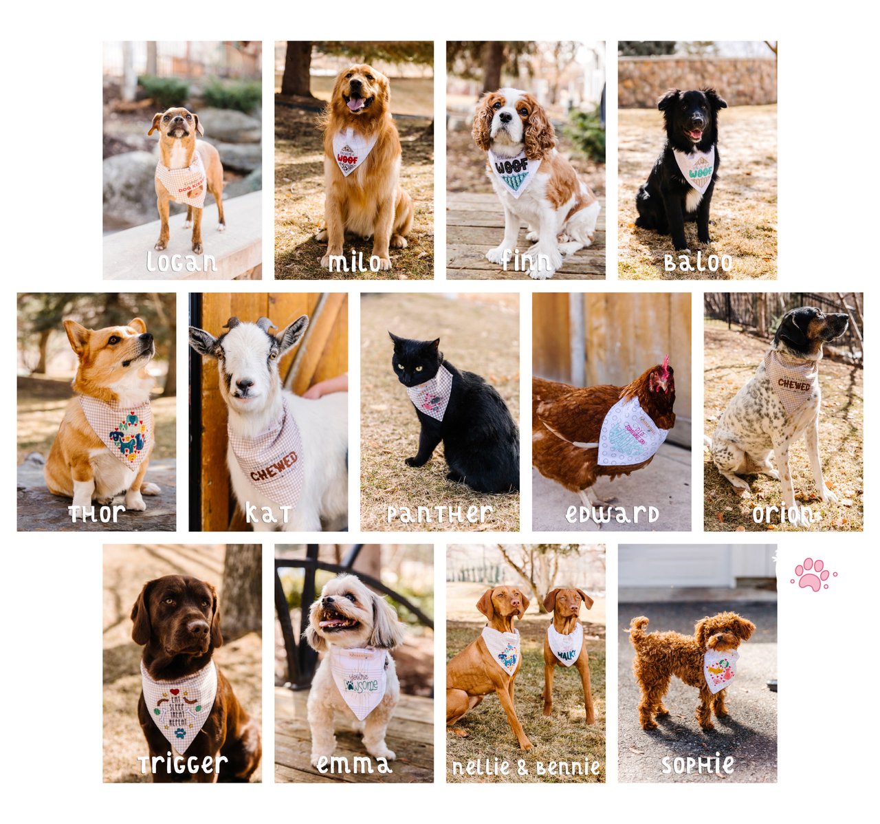 Match the Pet to the Kimberbell Owner! Celebrate Playful Pet Kerchiefs